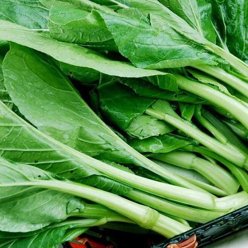 新鲜绿色食品 菜心蔬菜青菜 土特产菜谱